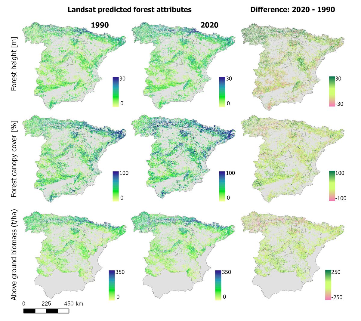 Three decades of forest structure